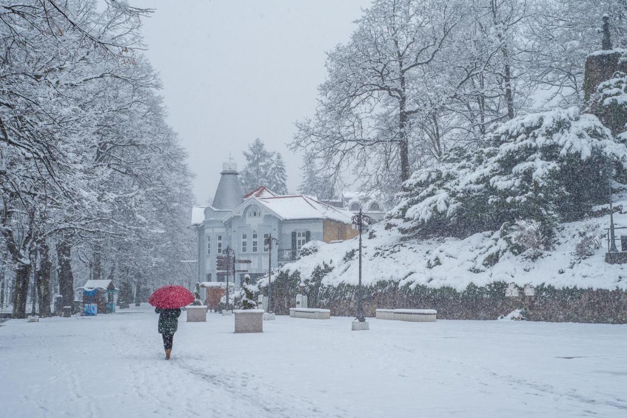 Vila Emilia Vrnjačka Banja Dış mekan fotoğraf