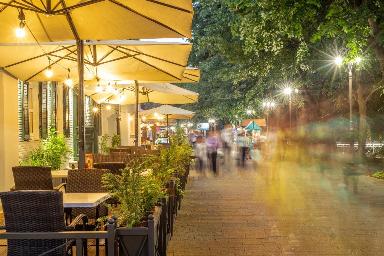 Vila Emilia Vrnjačka Banja Dış mekan fotoğraf